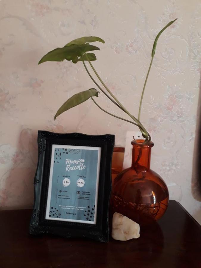 Mendoza - Bed & Brunch Apartman Kültér fotó